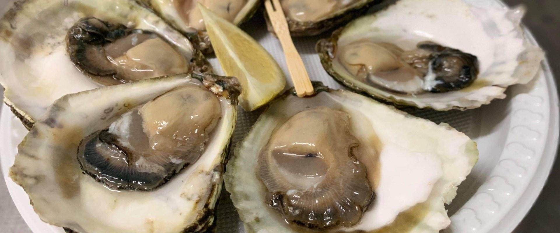Discover the Delicious Flavors of Tasmanian Oysters