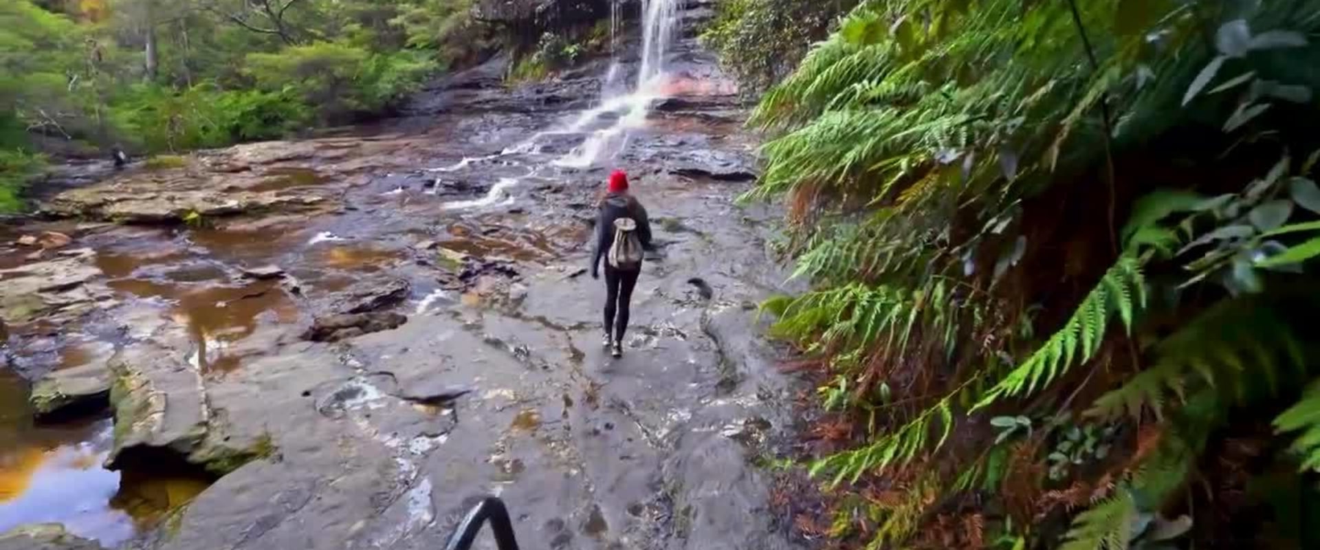 Hiking in Blue Mountains: Exploring the Land Down Under