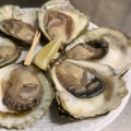 Discover the Delicious Flavors of Tasmanian Oysters