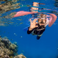 Snorkeling in the Great Barrier Reef: An Unforgettable Adventure