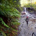 Hiking in Blue Mountains: Exploring the Land Down Under