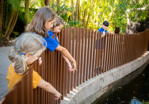 Exploring the Australia Zoo Wildlife Hospital