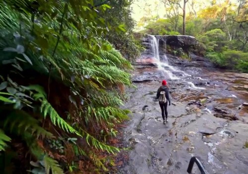 Hiking in Blue Mountains: Exploring the Land Down Under