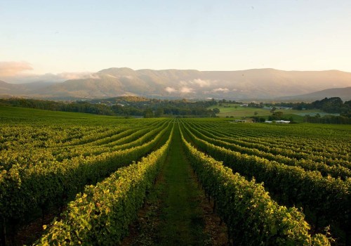 Discover the Diverse Wine Regions of Australia